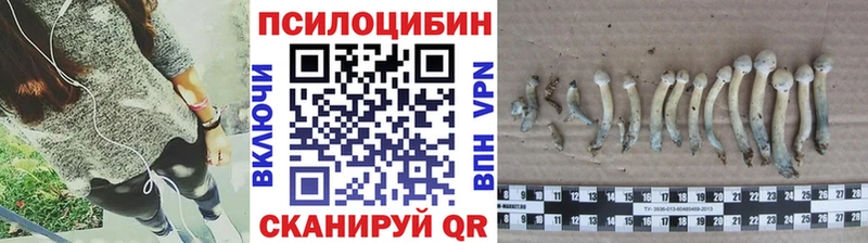 Галлюциногенные грибы MAGIC MUSHROOMS  Купить где  Данилов 