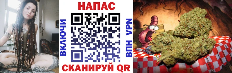 Купить закладки  Данилов  Бошки Шишки планчик 